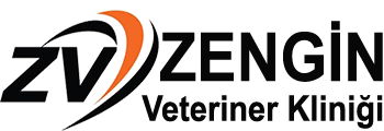 Zengin Veteriner